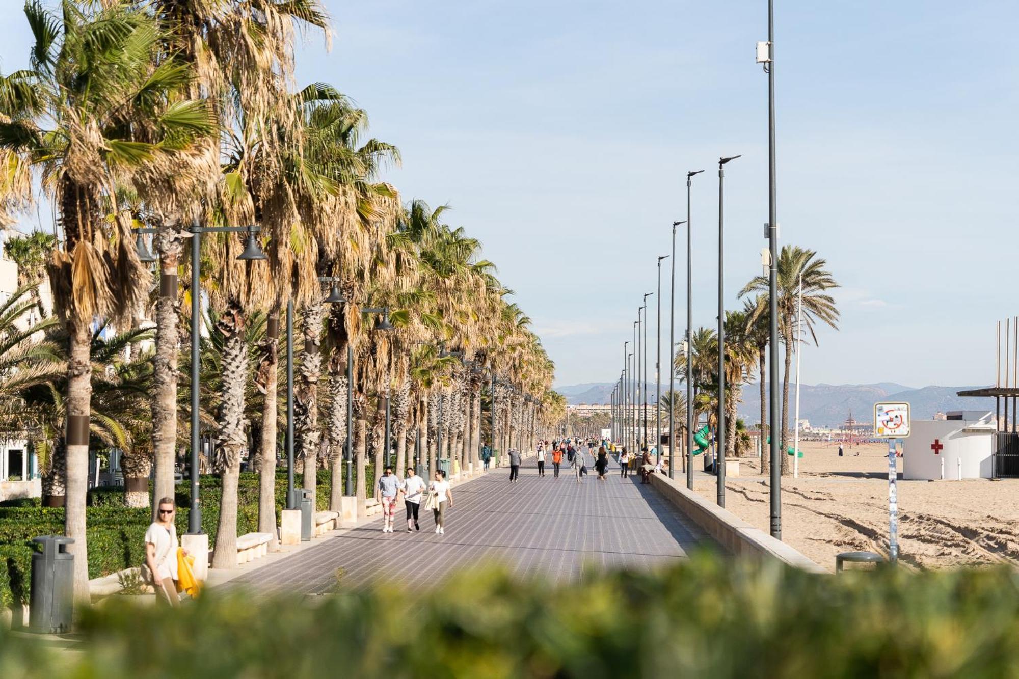 Alojamiento Junto Al Oceanografic Valencie Exteriér fotografie